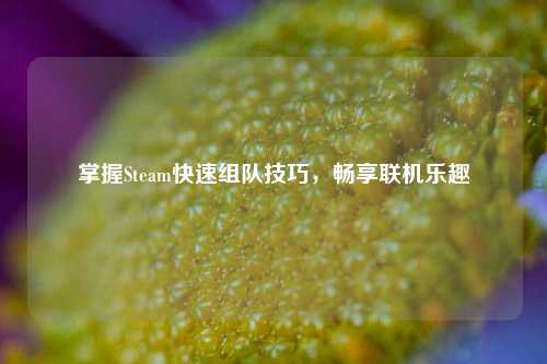 掌握Steam快速组队技巧,畅享联机乐趣