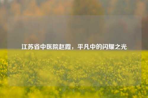江苏省中医院赵霞,平凡中的闪耀之光