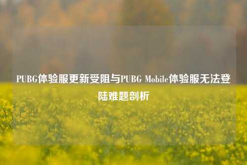 PUBG体验服更新受阻与PUBG Mobile体验服无法登陆难题剖析