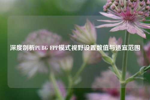 深度剖析PUBG FPP模式视野设置数值与适宜范围