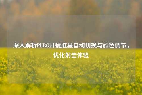 深入解析PUBG开镜准星自动切换与颜色调节,优化射击体验