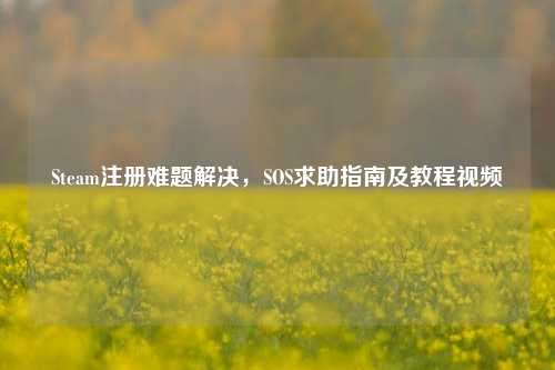Steam注册难题解决,SOS求助指南及教程视频