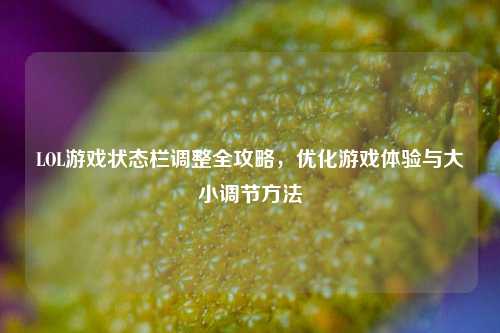 LOL游戏状态栏调整全攻略,优化游戏体验与大小调节 ***