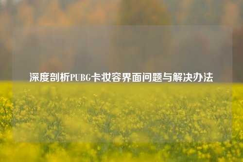 深度剖析PUBG卡妆容界面问题与解决办法