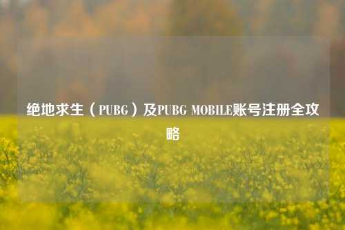 绝地求生（PUBG）及PUBG MOBILE账号注册全攻略