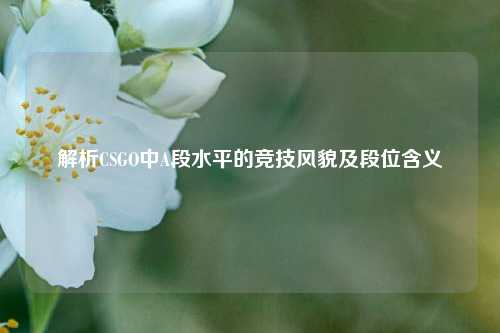 解析CSGO中A段水平的竞技风貌及段位含义