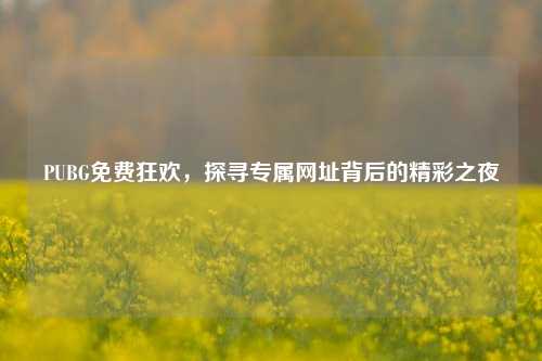 PUBG免费狂欢,探寻专属网址背后的精彩之夜