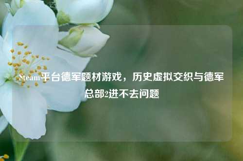 Steam平台德军题材游戏,历史虚拟交织与德军总部2进不去问题