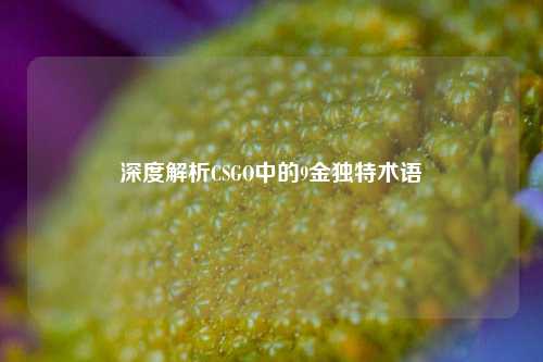 深度解析CSGO中的9金独特术语