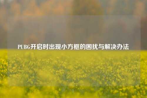 PUBG开启时出现小方框的困扰与解决办法