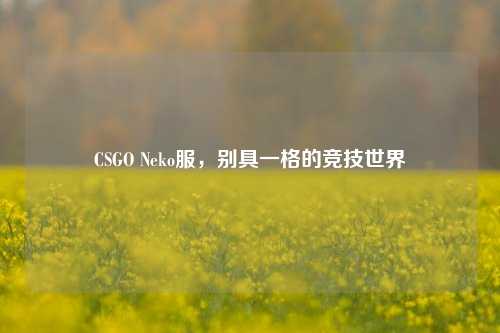 CSGO Neko服,别具一格的竞技世界