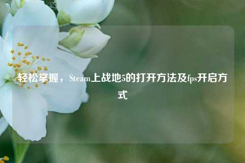 轻松掌握,Steam上战地5的打开 *** 及fps开启方式