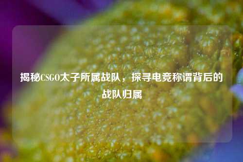 揭秘CSGO太子所属战队,探寻电竞称谓背后的战队归属