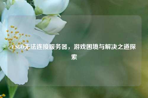 CSGO无法连接服务器,游戏困境与解决之道探索