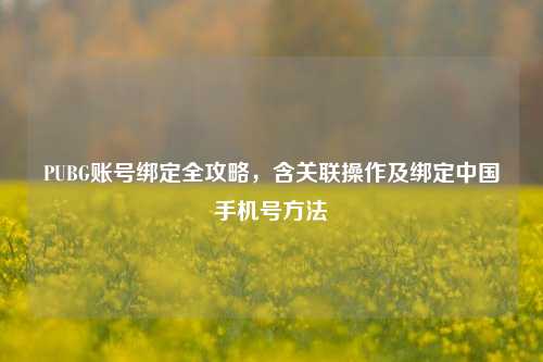 PUBG账号绑定全攻略,含关联操作及绑定中国手机号 ***
