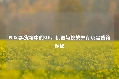 PUBG黑货箱中的SLR,机遇与挑战并存及黑货箱探秘