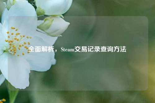 全面解析,Steam交易记录查询 ***