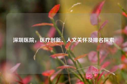 深圳医院,医疗创新、人文关怀及排名探索