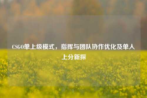 CSGO单上级模式,指挥与团队协作优化及单人上分新探