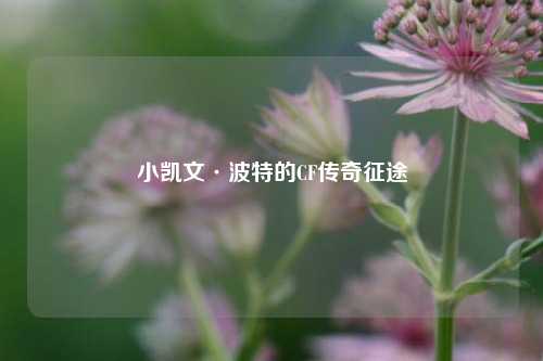 小凯文·波特的CF传奇征途