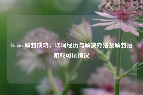Steam 解封成功,坎坷经历与解决办法及解封后游戏可玩情况