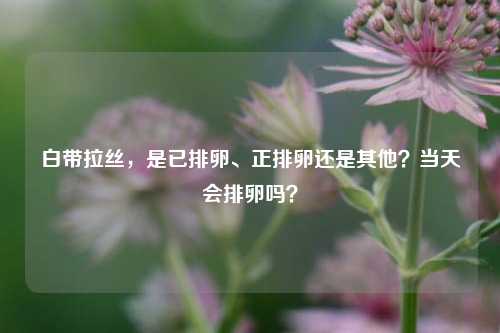 白带拉丝,是已排卵、正排卵还是其他?当天会排卵吗?