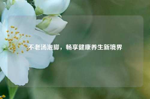 不老汤泡脚,畅享健康养生新境界