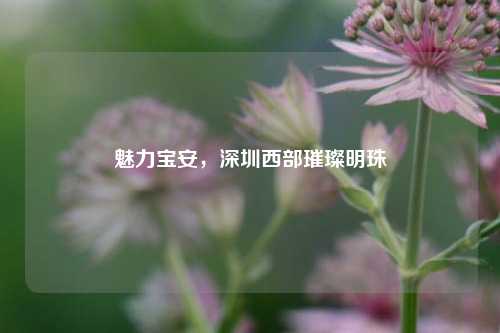 魅力宝安,深圳西部璀璨明珠