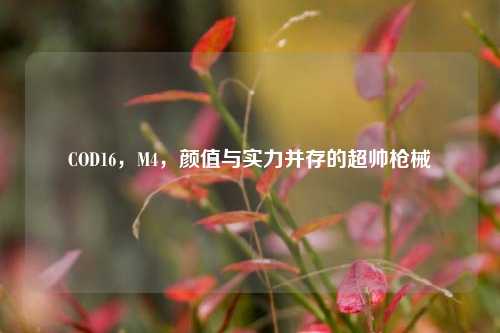 COD16,M4,颜值与实力并存的超帅枪械