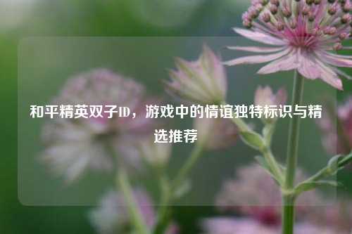 和平精英双子ID,游戏中的情谊独特标识与精选推荐