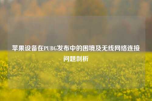苹果设备在PUBG发布中的困境及无线 *** 连接问题剖析