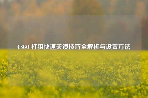 CSGO 打狙快速关镜技巧全解析与设置 ***