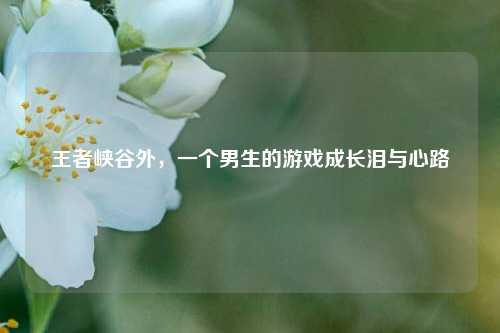 王者峡谷外,一个男生的游戏成长泪与心路