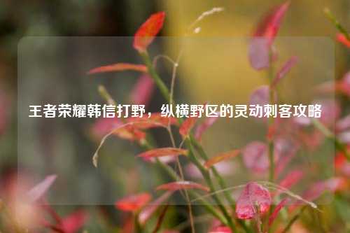 王者荣耀韩信打野,纵横野区的灵动刺客攻略