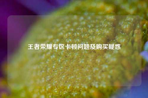 王者荣耀专区卡顿问题及购买疑惑