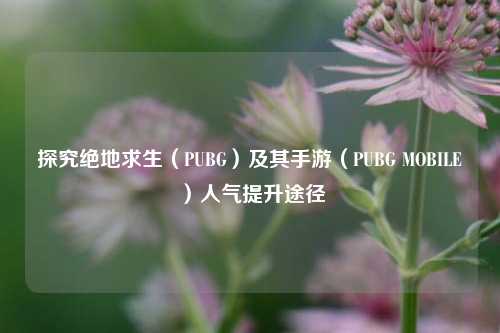 探究绝地求生(PUBG)及其手游(PUBG MOBILE)人气提升途径