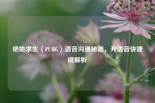 绝地求生(PUBG)语音沟通秘籍,开语音快捷键解析