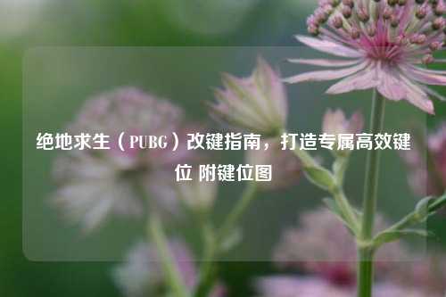 绝地求生(PUBG)改键指南,打造专属高效键位 附键位图
