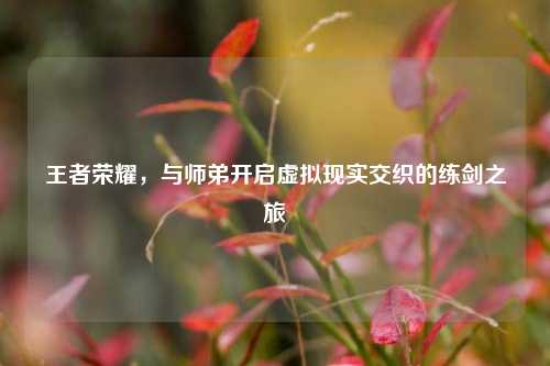 王者荣耀,与师弟开启虚拟现实交织的练剑之旅