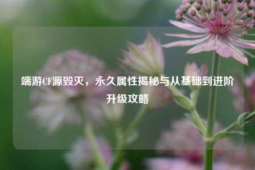 端游CF源毁灭,永久属性揭秘与从基础到进阶升级攻略