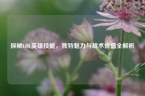 探秘LOL英雄技能,独特魅力与战术价值全解析