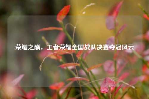 荣耀之巅,王者荣耀全国战队决赛夺冠风云