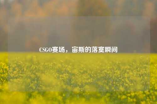 CSGO赛场,宙斯的落寞瞬间