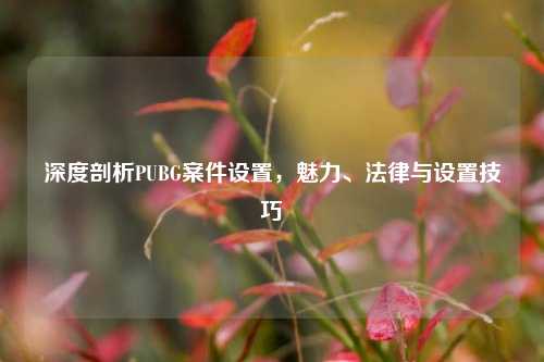 深度剖析PUBG案件设置,魅力、法律与设置技巧