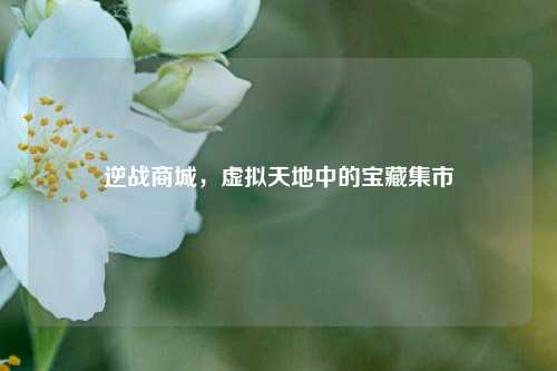 逆战商城,虚拟天地中的宝藏集市