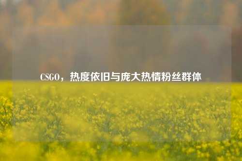 CSGO,热度依旧与庞大热情粉丝群体