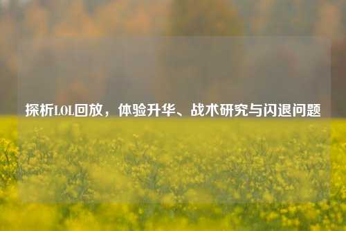 探析LOL回放,体验升华、战术研究与闪退问题