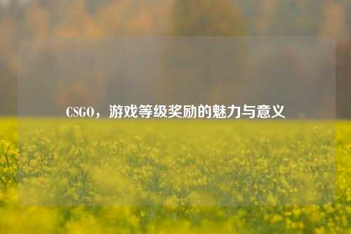 CSGO,游戏等级奖励的魅力与意义