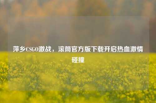 萍乡CSGO激战,滚筒官方版下载开启热血***碰撞