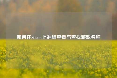 如何在Steam上准确查看与查找游戏名称